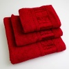 Набор махровых полотенец 3шт GM Textile 40х70см, 50х90см, 70х140см BambooN 450г/м2 (Красный)