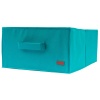 Органайзер для хранения демисезонной обуви на 4 пары Lzr-O-4 (Лазурь)