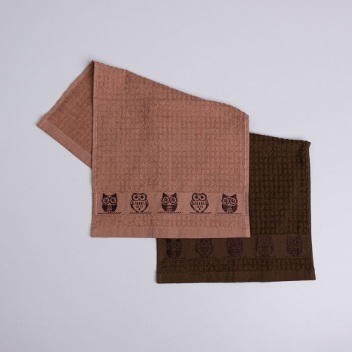 Набор кухонных махровых полотенец 2шт GM Textile 30x50см, 30x50см Совы 400г/м2 (Бежевый/Коричневый)